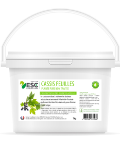 CASSIS – Articulations cheval – Plante pure