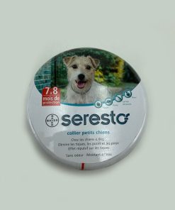 Collier petits chiens antiseptique