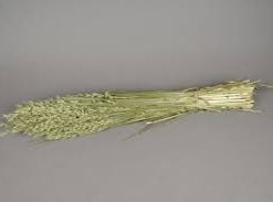 Une botte d&rsquo;Avoine Séchée Naturelle