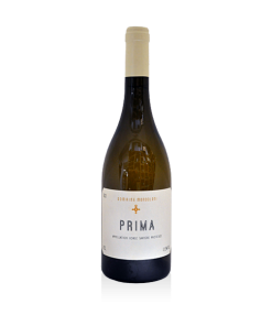 Mondoloni – Prima – Blanc