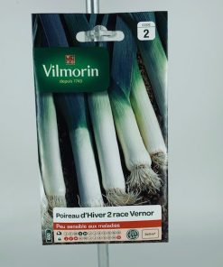 Poireau d Hiver race Vernor – Graines Vilmorin
