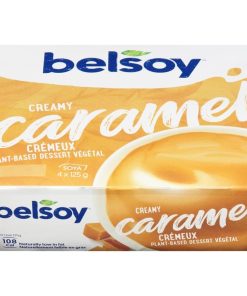 Pouding Caramel Crémeux Sans Gluten (BELSOY)