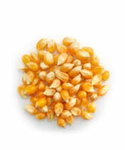 Mais à Éclater Biologique 6×12