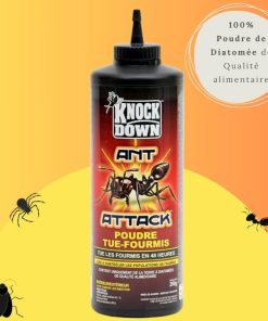 Attack Poudre Tue-Fourmis 200g – Solution 100% Naturelle à la Terre de Diatomée