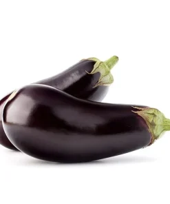 Aubergine