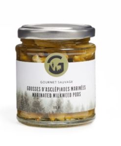 Gousses d&rsquo;asclépiades marinées