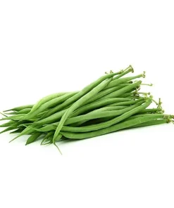 Haricot Vert